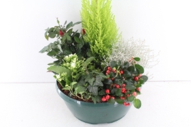 Christmas Outdoor Planter