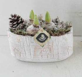 Oval Hyacinth Planter